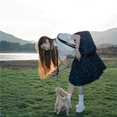 向秘书为何那样