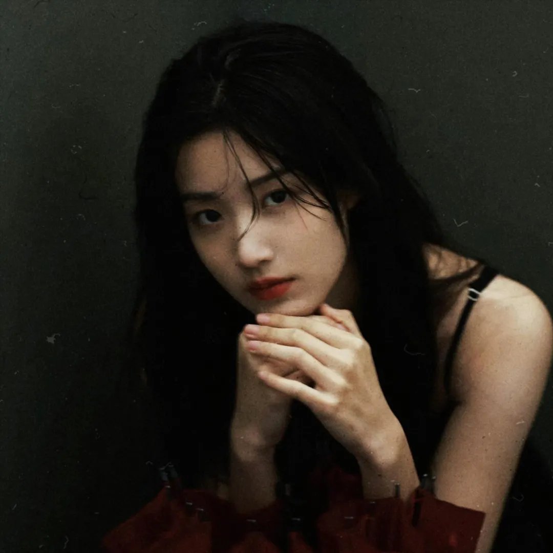 来自收容所的爱